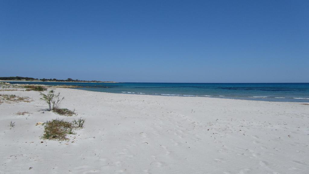 La Corte Degli Ulivi Appartamenti Cala Liberotto Szoba fotó